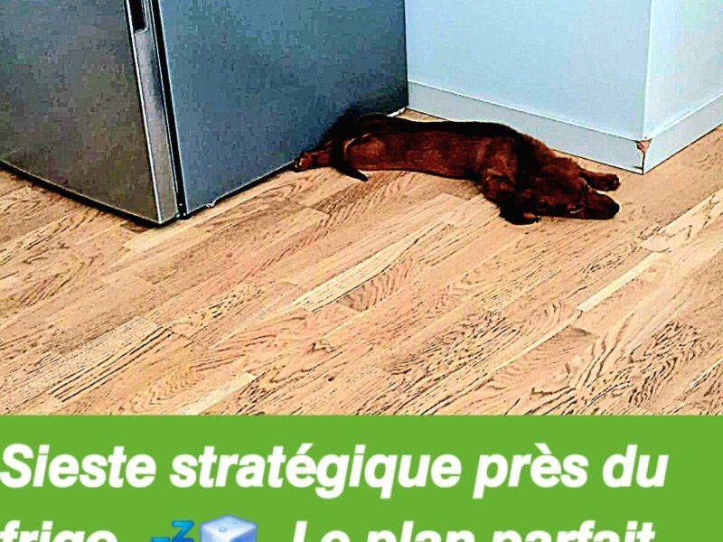 Julia – Hébergement