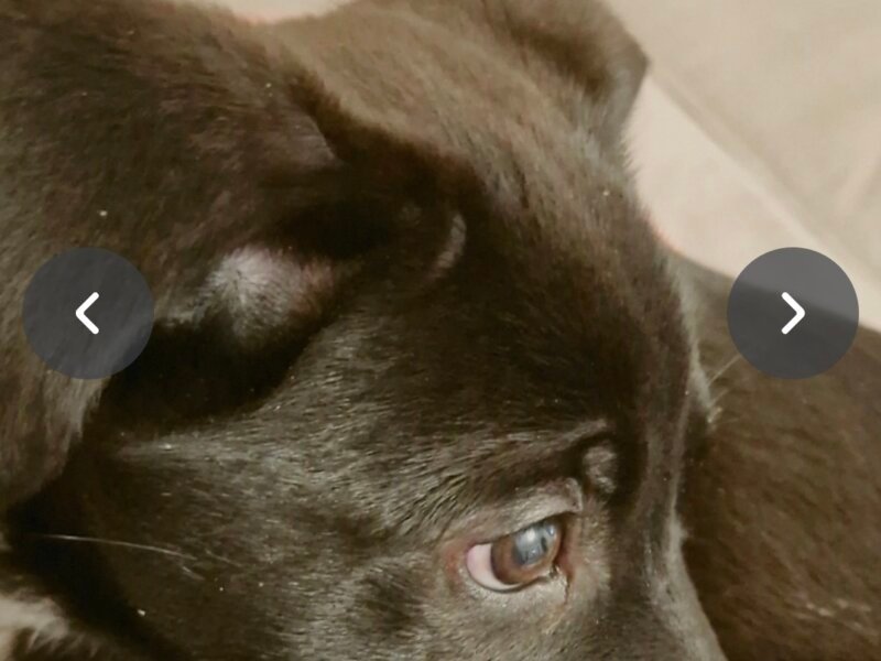 Julia – Visites à domicile