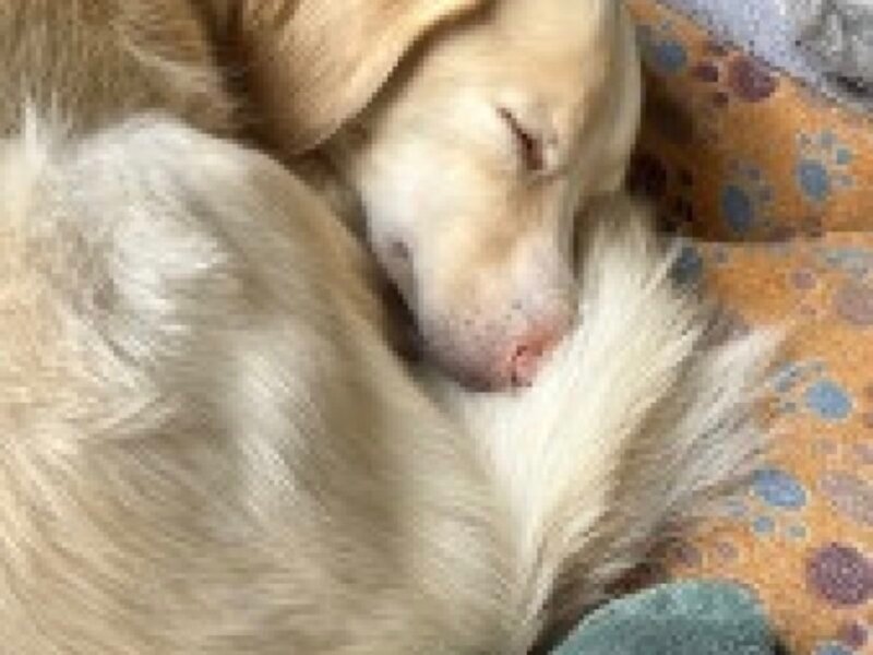 Julia – Visites à domicile