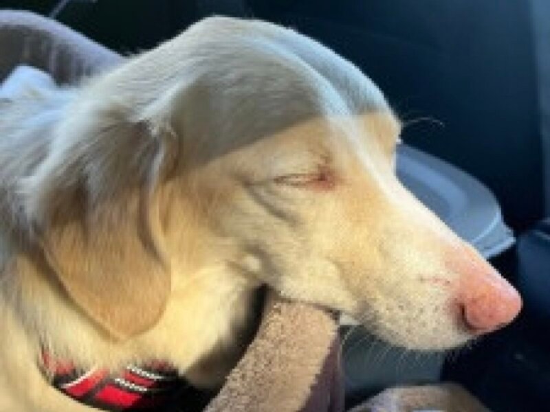 Julia – Visites à domicile