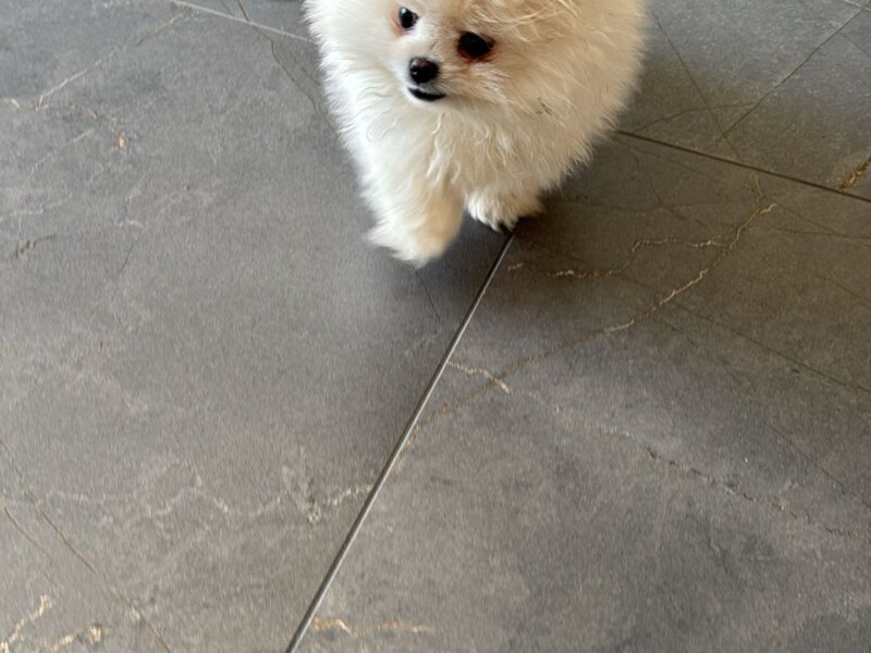 Julia – Visites à domicile