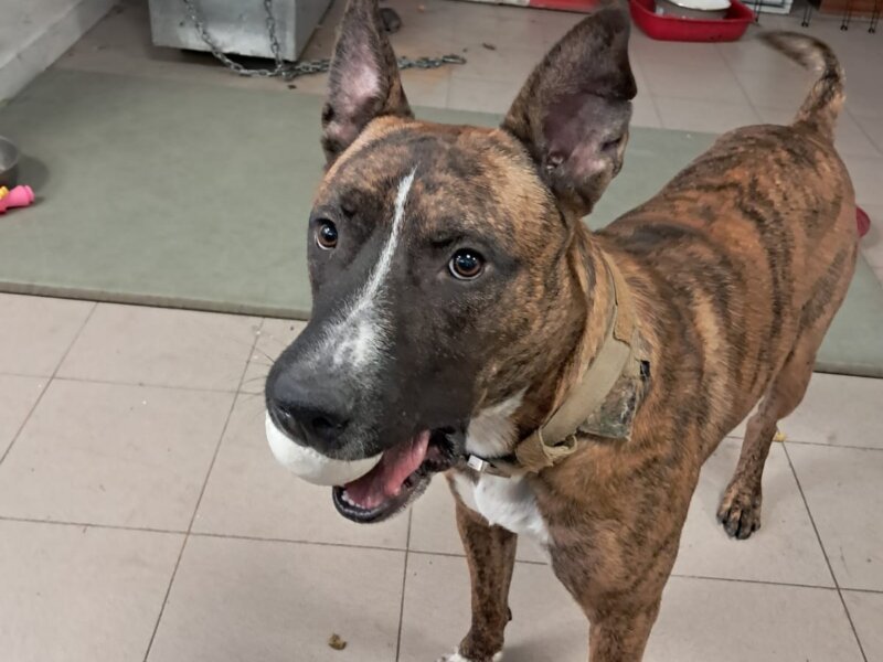 Julia – Visites à domicile