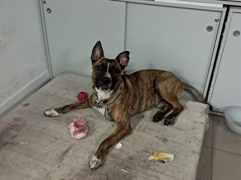 Julia – Visites à domicile