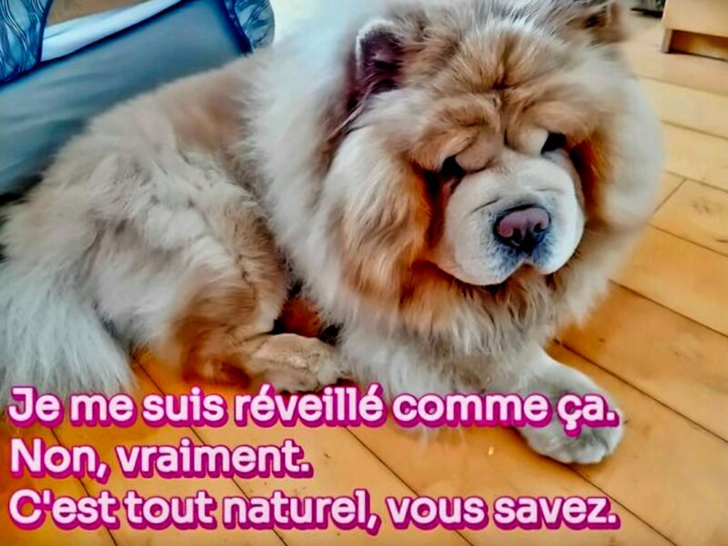 Julia – Visites à domicile