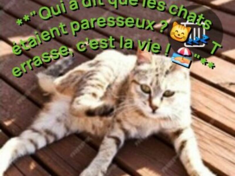 Julia – Visites à domicile