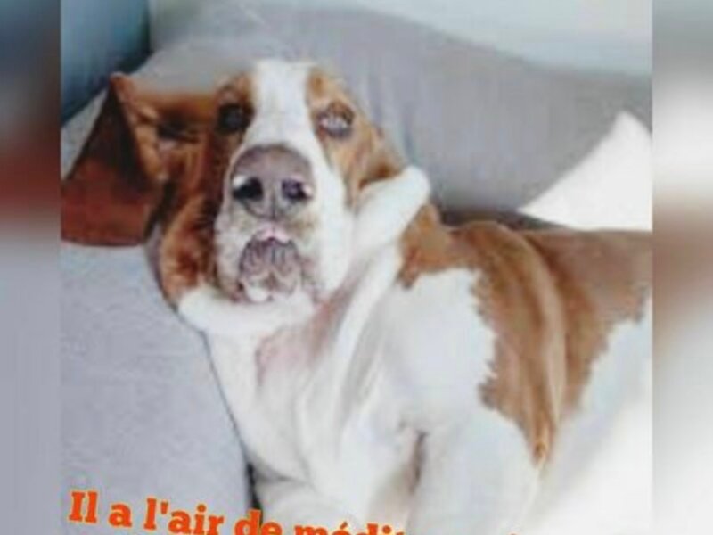 Julia – Garde à domicile