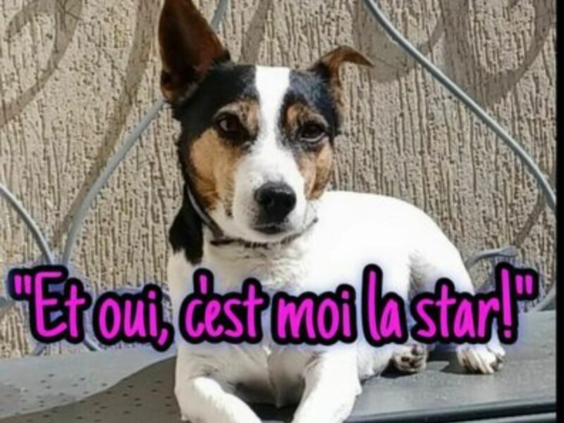 Julia – Garde à domicile