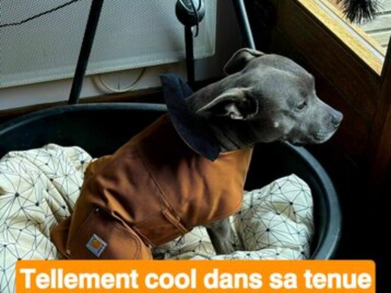 Julia – Garde à domicile