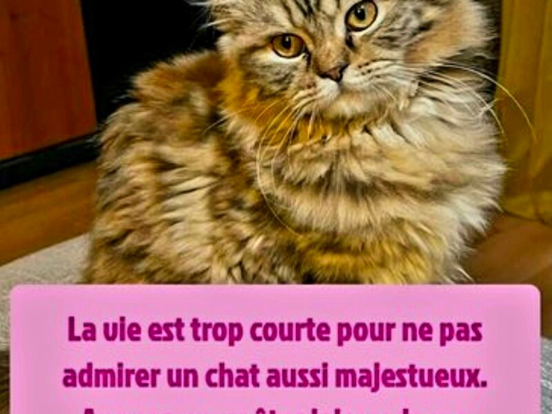 Julia – Visites à domicile