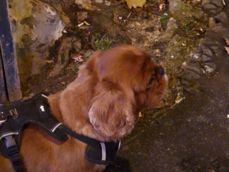 Julia – Promenades