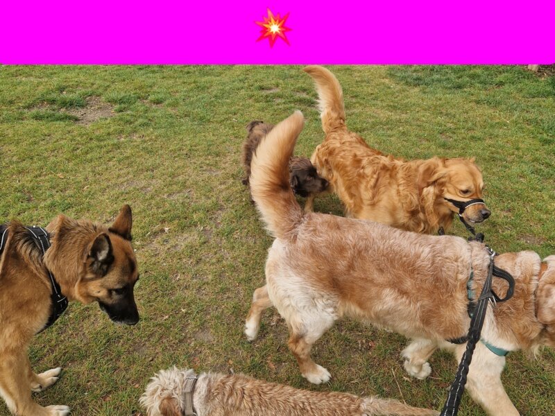 Julia – Promenades