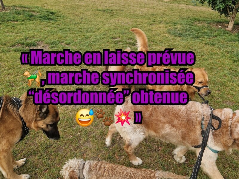 Julia – Promenades