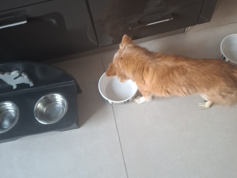 Julia – Garde à domicile