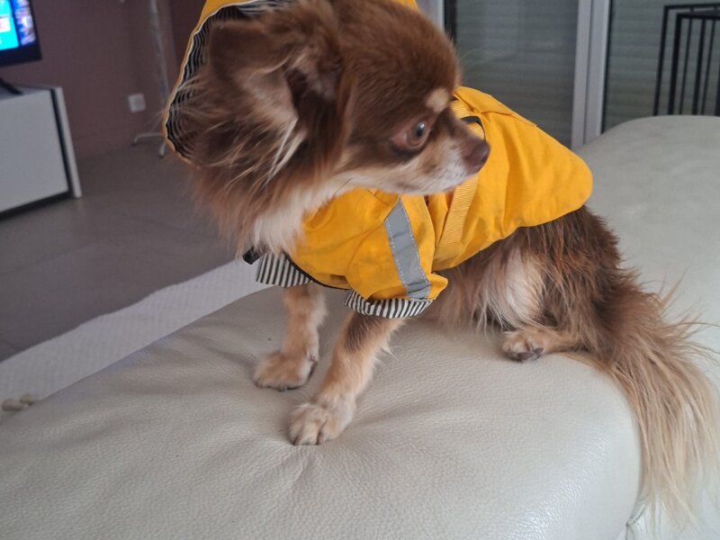 Julia – Garde à domicile