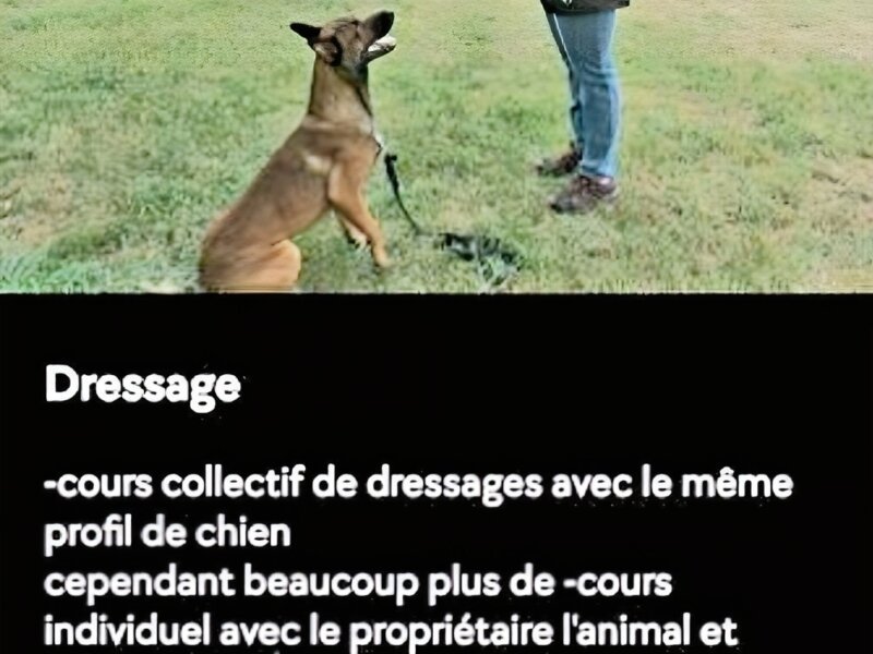 Julia – Hébergement