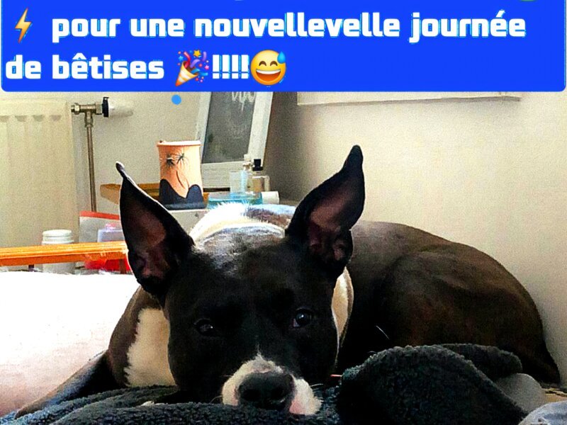 Julia – Hébergement