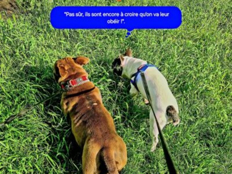 Julia – Promenades