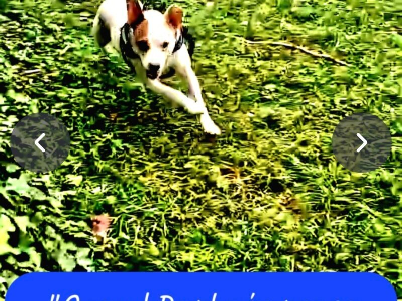 Julia – Promenades