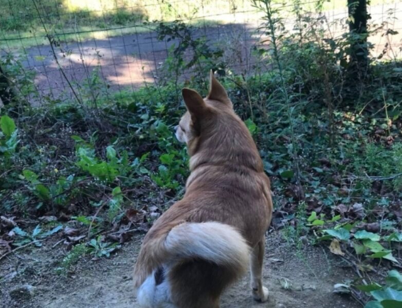 Julia – Promenades