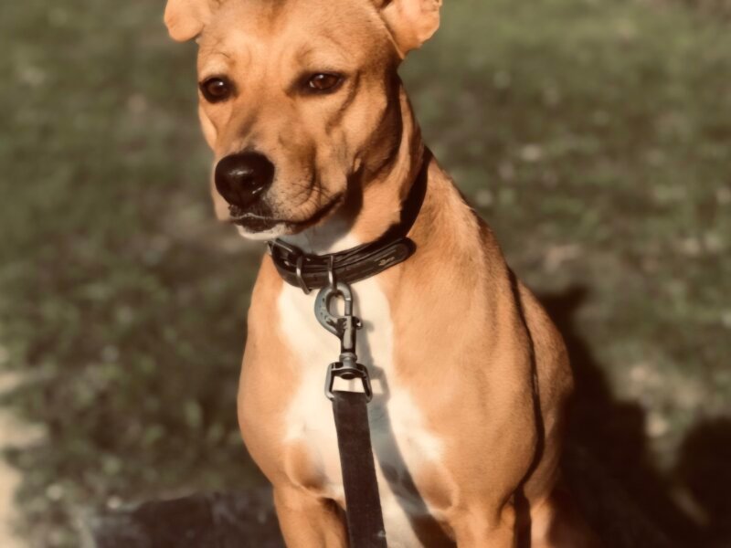 Julia – Promenades