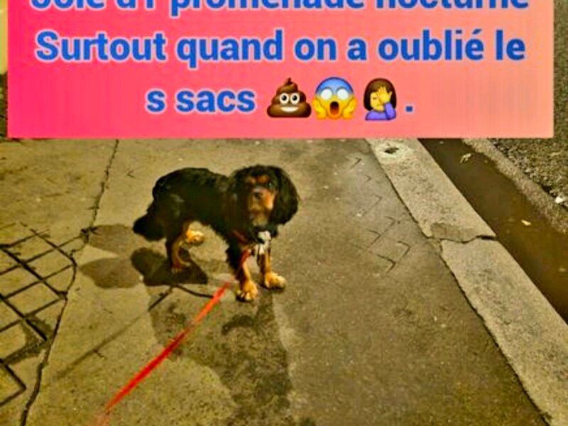 Julia – Promenades